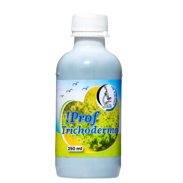 !Prof Trichoderma